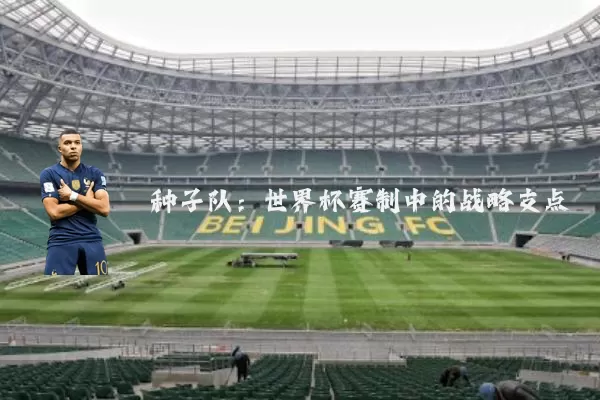 种子队:世界杯赛制中的战略支点