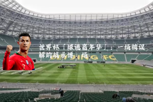 世界杯「球迷嘉年华」:一场被误解的战术博弈场